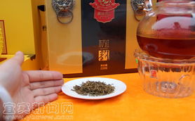 醒世茶业 持续打造顶级红茶