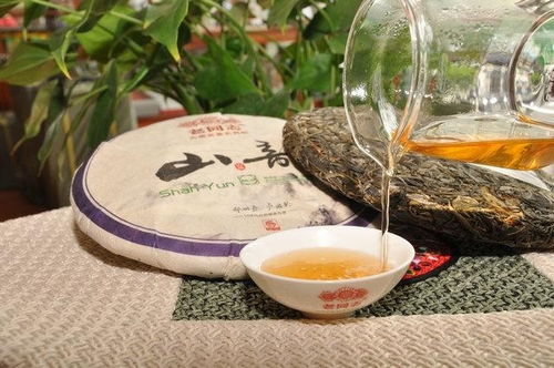 广东芳村茶业城