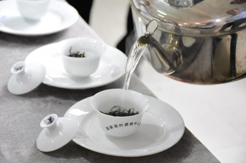 重磅 茶农茶叶巅峰对决