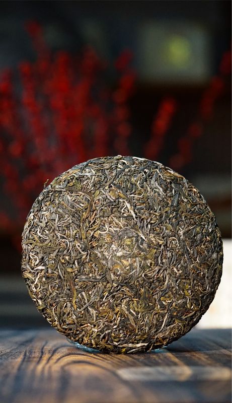 天弘茶业基地 高端古树茶隆重上市