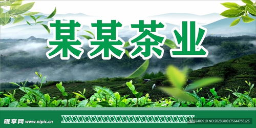 茶业茶山设计图