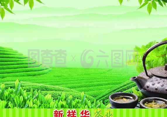 新祥华茶业图片