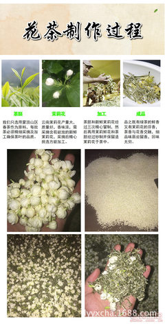 【兰韵幽香毛尖新花茶厂家批发三号飘雪峨眉山花毛峰散装茶叶茉莉花茶花毛峰3飘】金牛区兰韵幽香茶业经营部 - 产品库