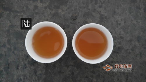 2018年蒲门茶业缤纷时代紫凤金针 香气平稳,口感细腻