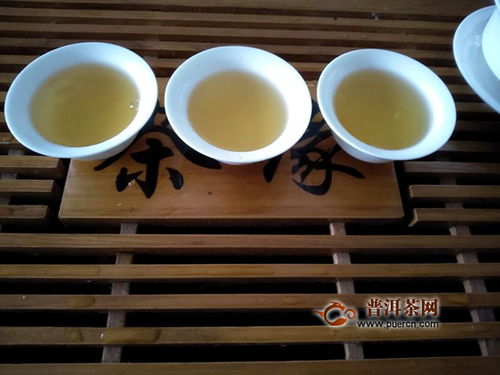 2019年本木古茶业古小白美人珠白茶 一款值得品鉴的优质白茶